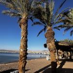 מיכל אופגנג