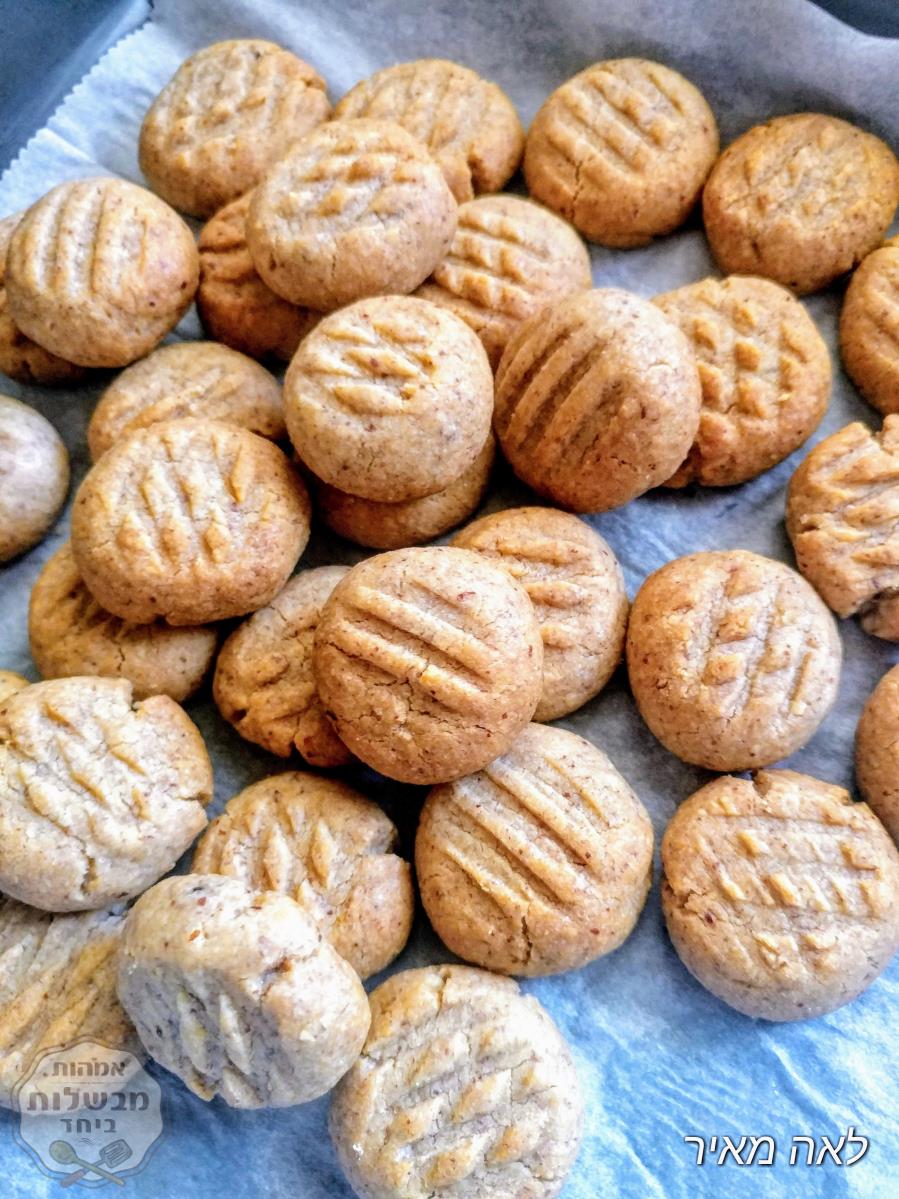עוגיות מייפל-פקאן בגודל ביס של סבתא לאה 
