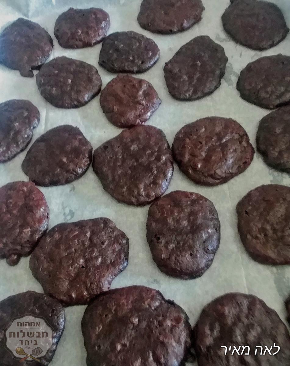 עוגיות פעמיים שוקולד מריר ללא גלוטן של סבתא לאה 
