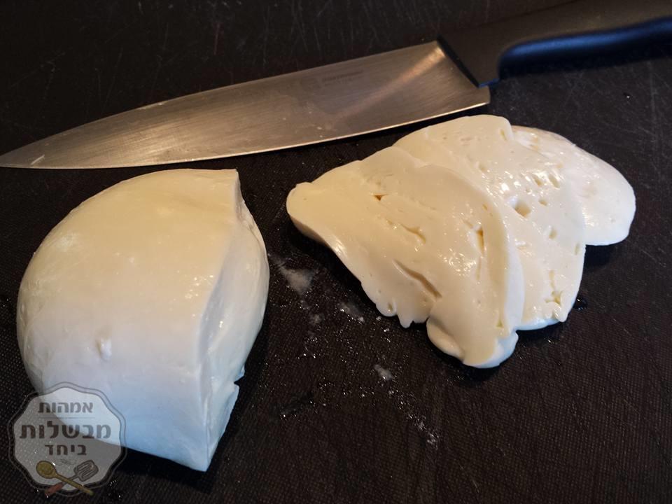 גבינת מוצרלה ביתית