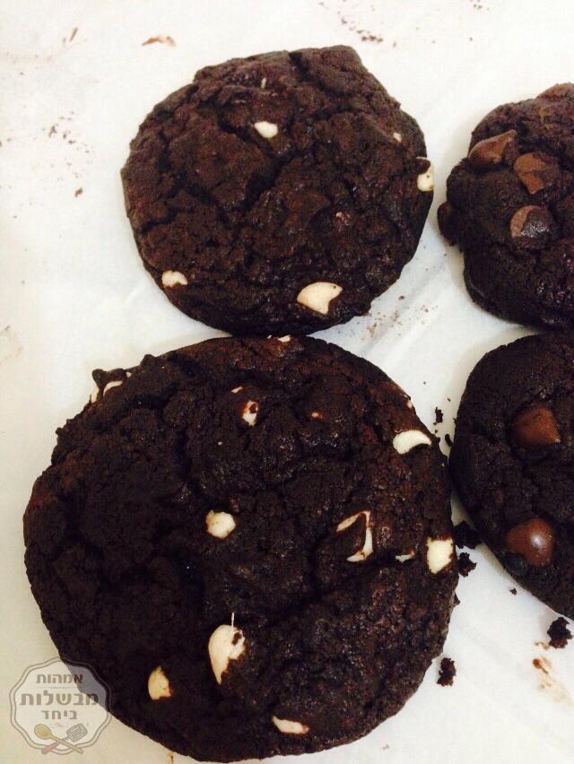 עוגיות  פאדג'שוקולד ושוקולד צ'יפס