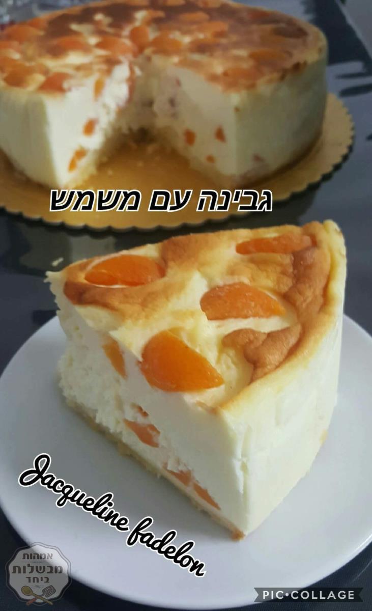 עוגת גבינת מסקרפונה וגבינה לבנה עם משמשים