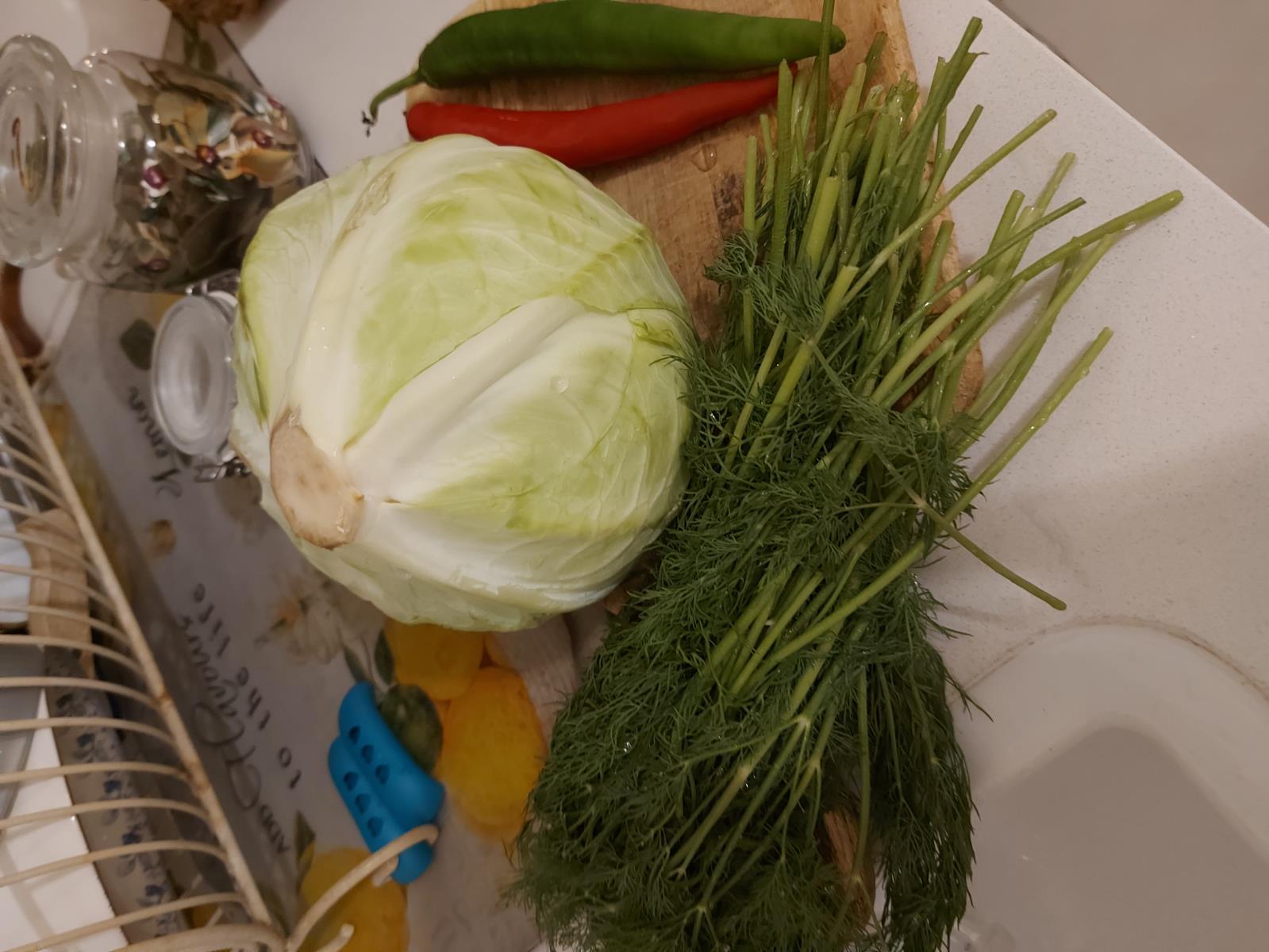 כרוב כבוש ביתי