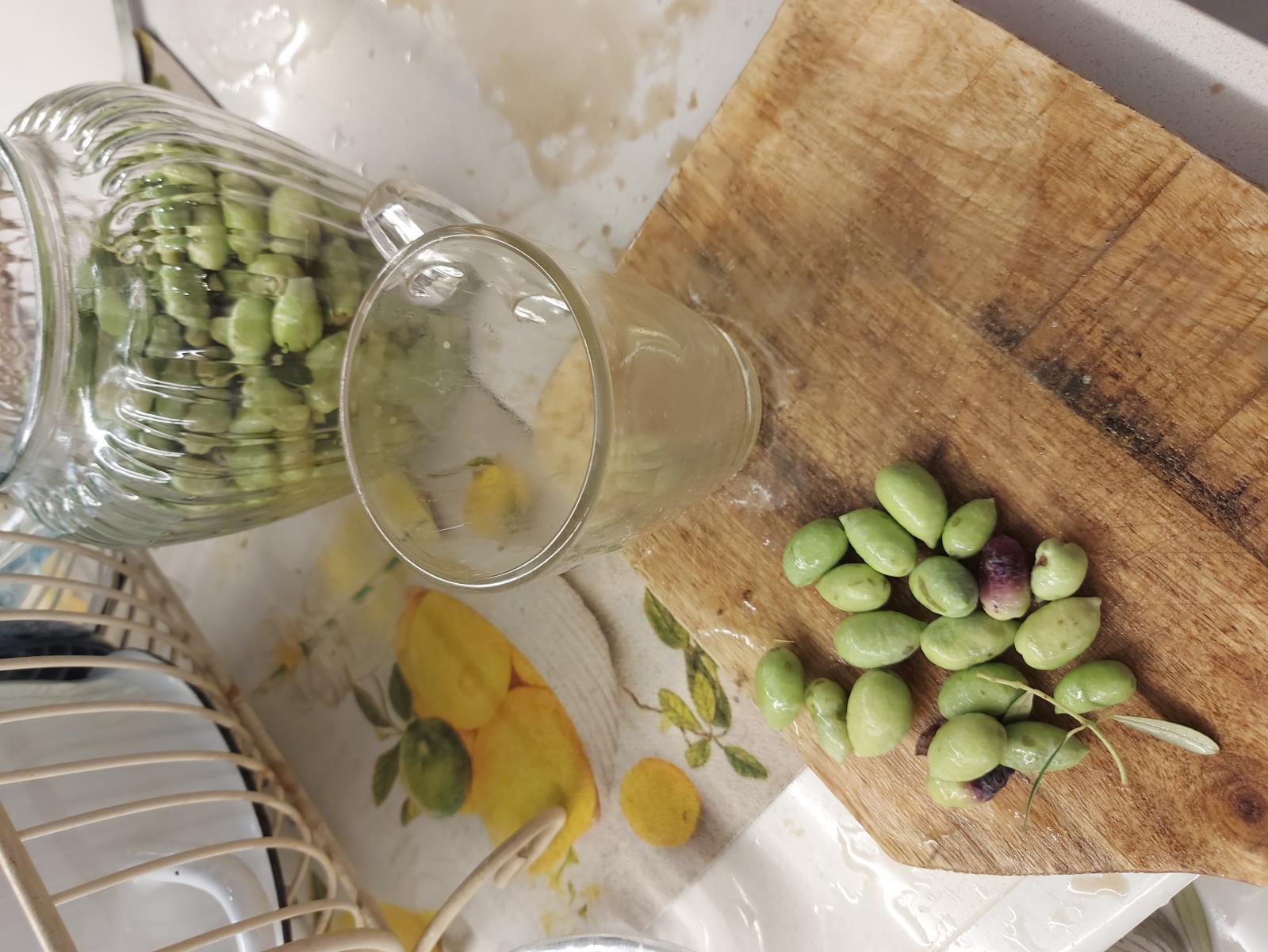 זיתים ירוקים